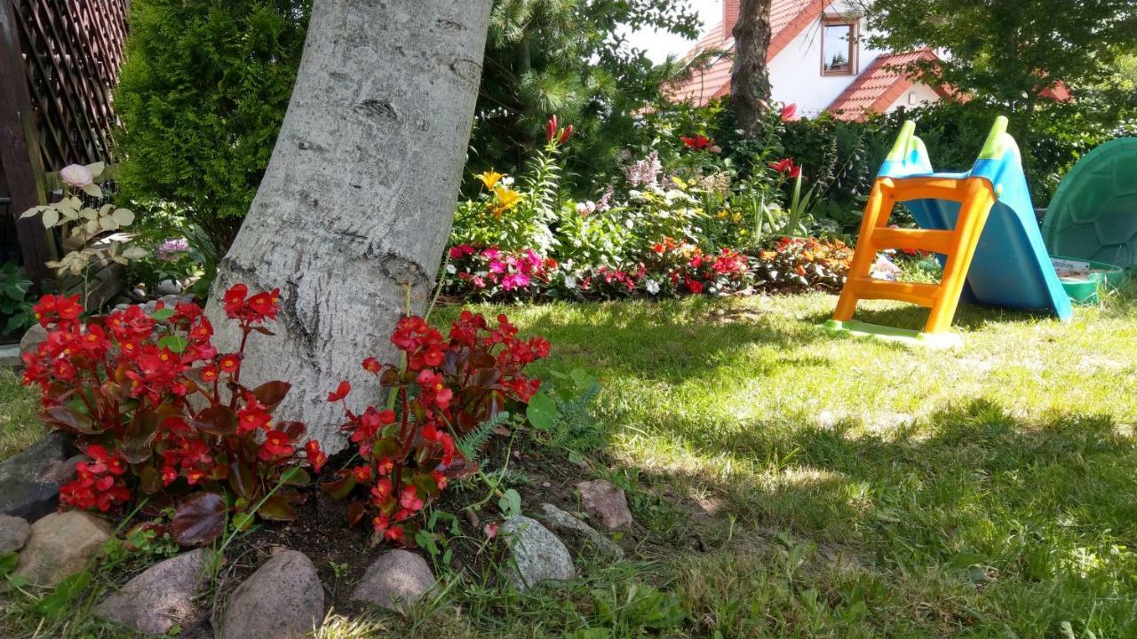 Kamień Bałtyku *
